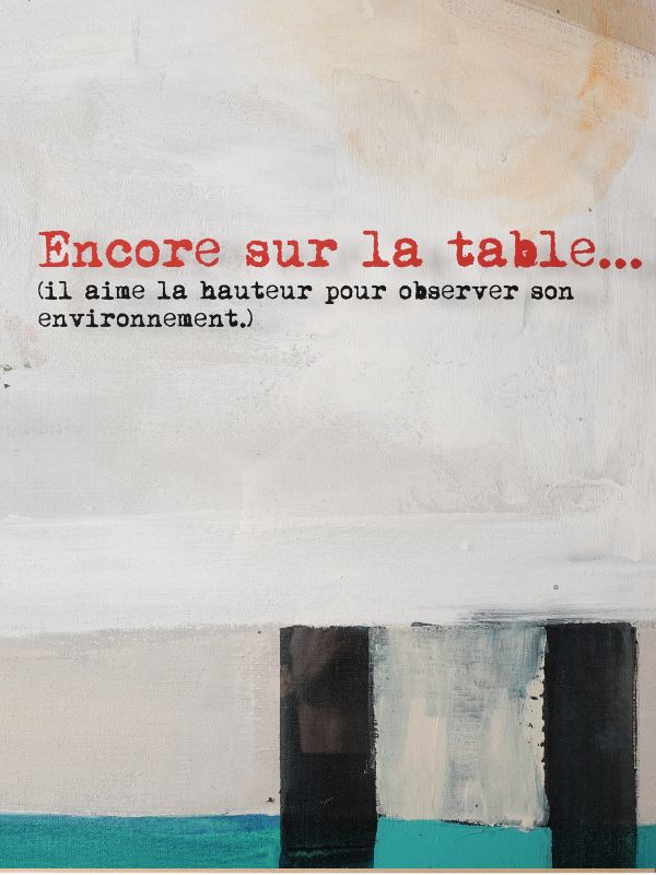 Encore sur la table – œuvre originale contemporaine avec chat 0,60x0,80m