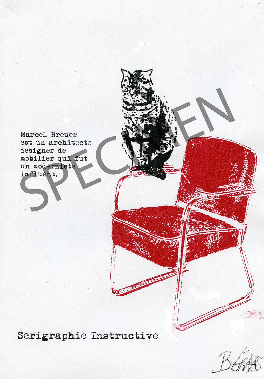 Pack l'Art de vivre avec son chat